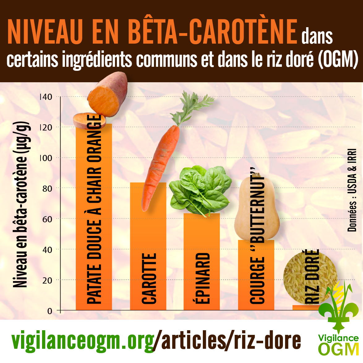 Riz doré Vigilance OGM