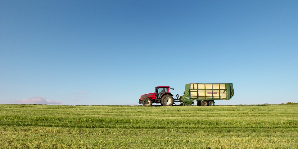 agriculture
