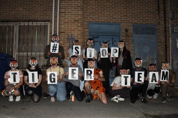 Photo d'un groupe de citoyen déguisé avec un masque de tigre pour dénoncer la "Tiger Team"