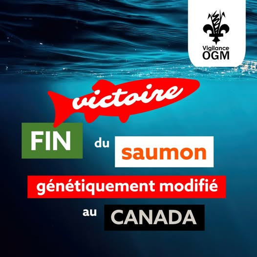 Affiche disant Victoire, Fin du saumon génétiquement modifié au Canada