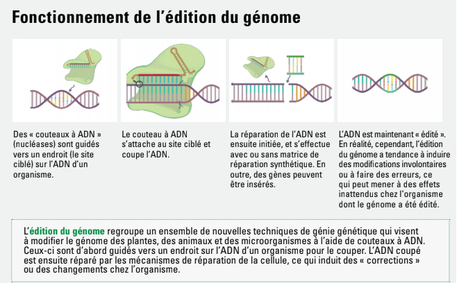 fonctionnement de l'édition du génome