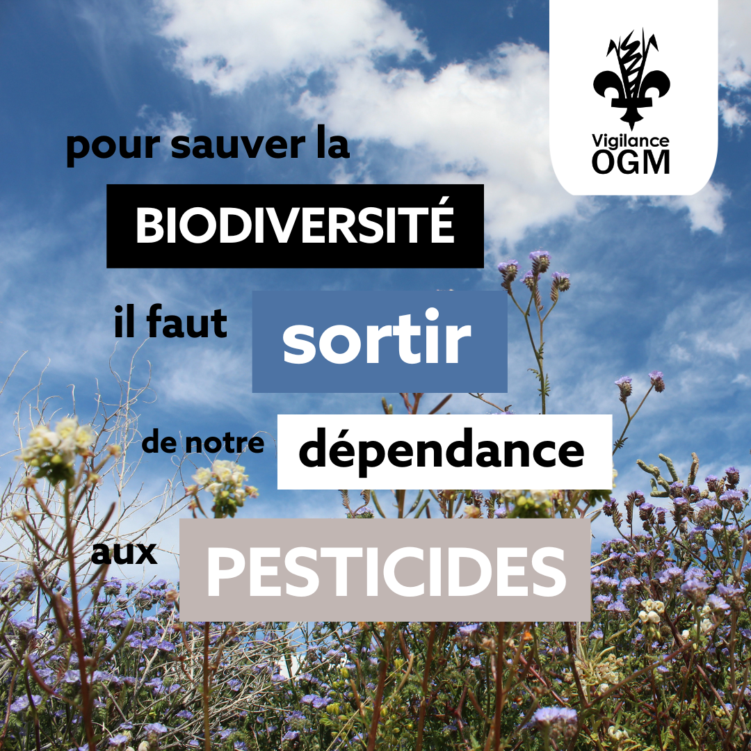 Biodiversité et pesticides