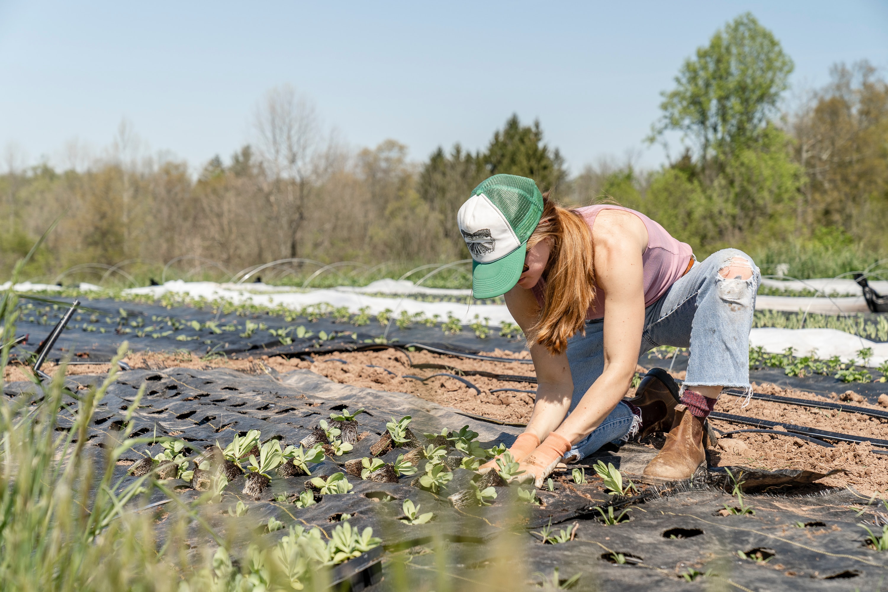 agricultrice au champ