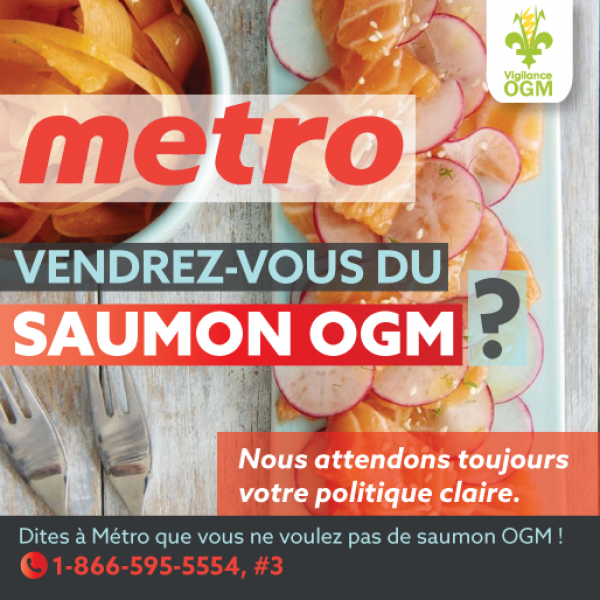 Metro vendra t-il du saumon OGM ? 