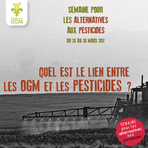 Le but de la Semaine pour les alternatives aux pesticides est d'informer sur les dangers sanitaires et environnementaux des pesticides et de faire la promotion de leurs alternatives. Voici quelques interrogations pour faire le point sur la question des pesticides !