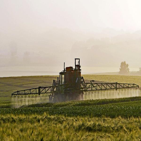 Le MDDELCC annonce sa stratégie sur les pesticides qui réglemente des néonicotinoïdes, l’atrazine et le chlorpyrifos.