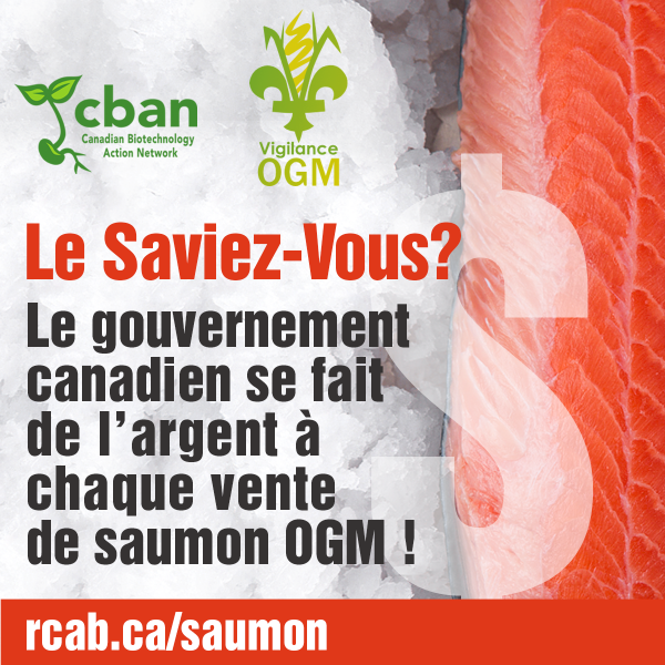 Le gouvernement du Canada reçoit des redevances de la vente de saumon OGM