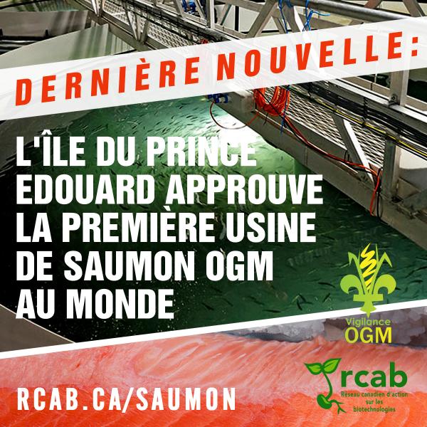 Le gouvernement de l’île du Prince Édouard d’accepter la construction de la première usine de production de saumon génétiquement modifié (GM) au monde.