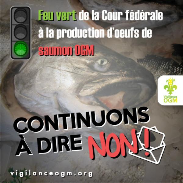 La production des oeufs de saumon OGM peut commencer