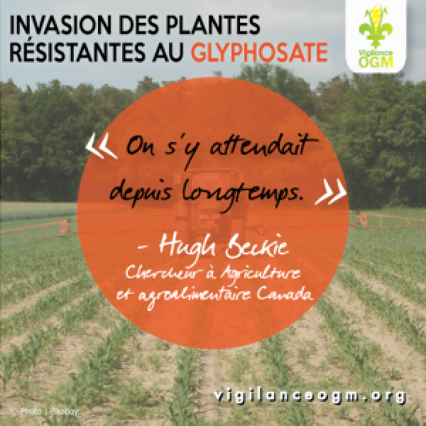 Roundup de Monsanto : c’était trop beau pour être vrai ! 