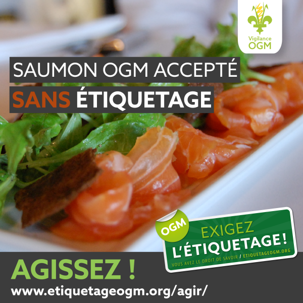 Canada accepte le saumon génétiquement modifié pour consommation