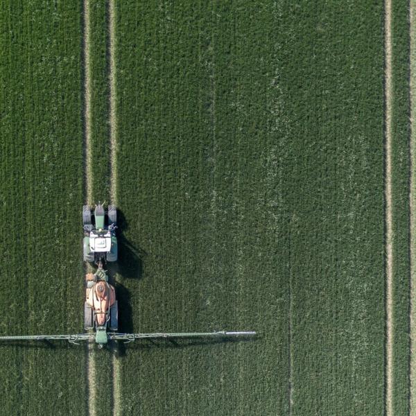 épandage pesticides glyphosate champ