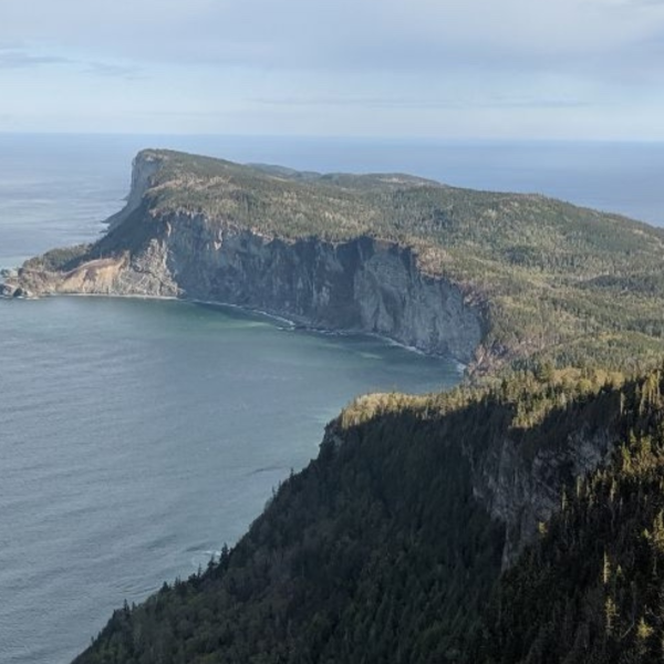 Consensus québécois en environnement