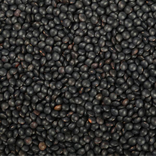 lentilles beluga