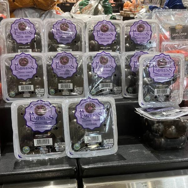 tomates violettes génétiquement modifié