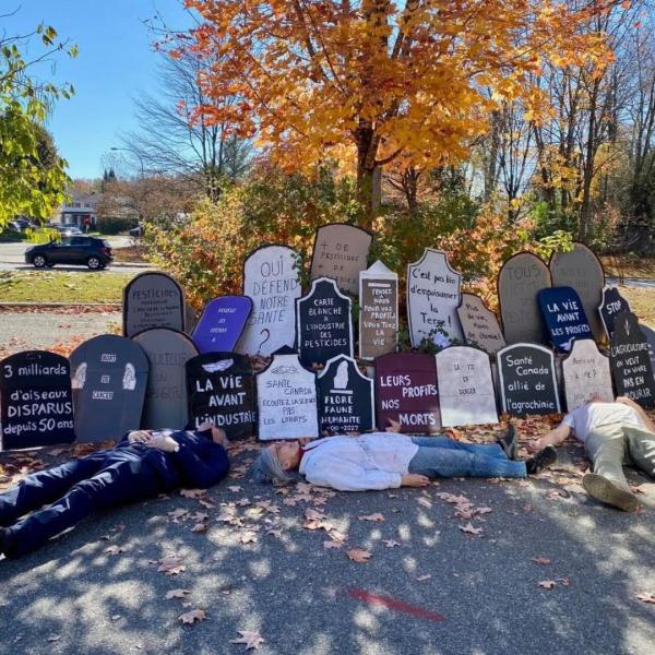 die-in