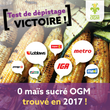 Vigilance OGM est heureuse de confirmer l’absence de maïs sucré génétiquement modifié (GM) dans les épiceries testées au Québec dans le cadre de sa 6e campagne annuelle consécutive de dépistage de maïs sucré GM.