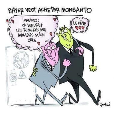 Bayer veut racheter Monsanto pour 86,9 milliards de $ CA, cette nouvelle fusion crée le nouveau numéro un mondial des semences et des pesticides.