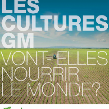 RAPPORT: Les cultures OGM , nourrissent-elles le monde ?