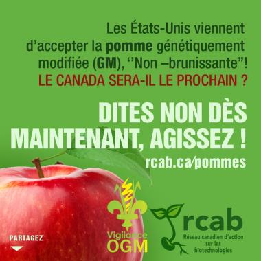 La pomme OGM acceptée au Canada 