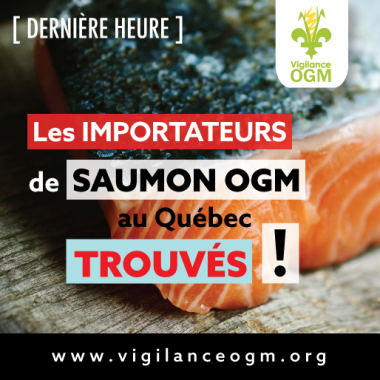 Importateurs de saumon GM