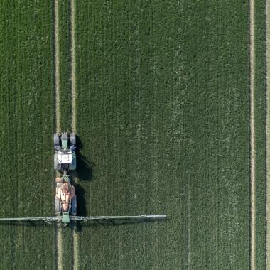 épandage pesticides glyphosate champ