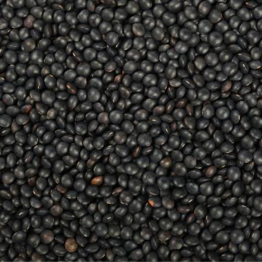 lentilles beluga